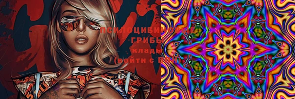 PSILOCYBIN Ступино