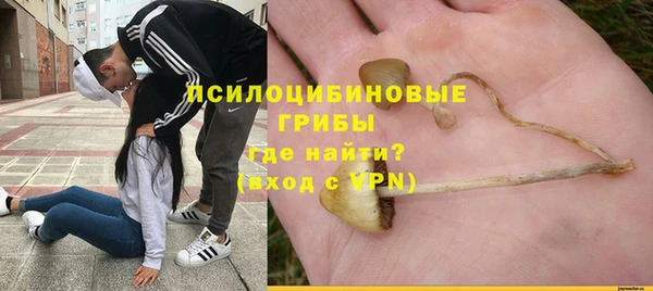 молекула духа Строитель