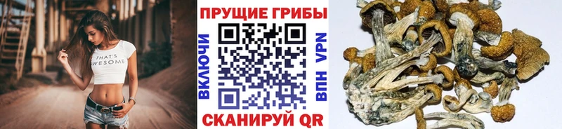 Галлюциногенные грибы ЛСД kraken как зайти Теберда